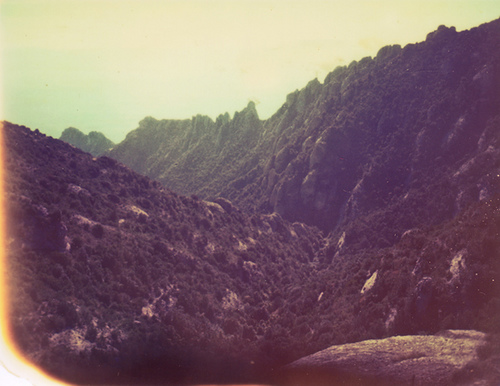 2987203759_1e67558d69