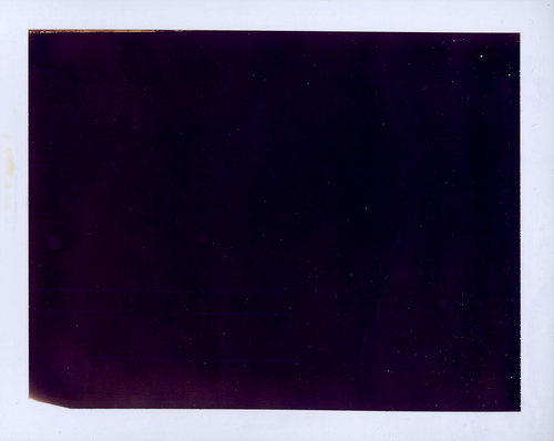 3218991196_1884c3492b