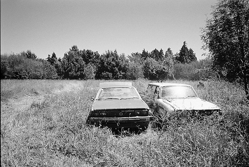 3330343852_5dbd877c91