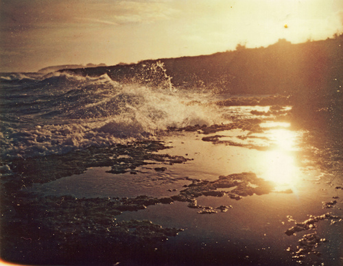 3345961466_4aef994a70