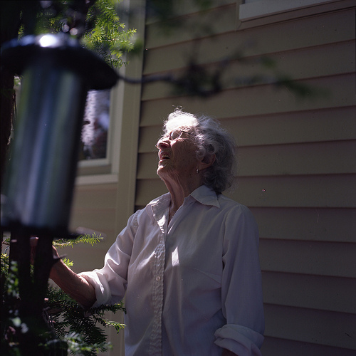 3827446271_0fdf719100