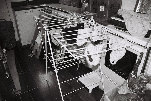 3910480585_288239410c