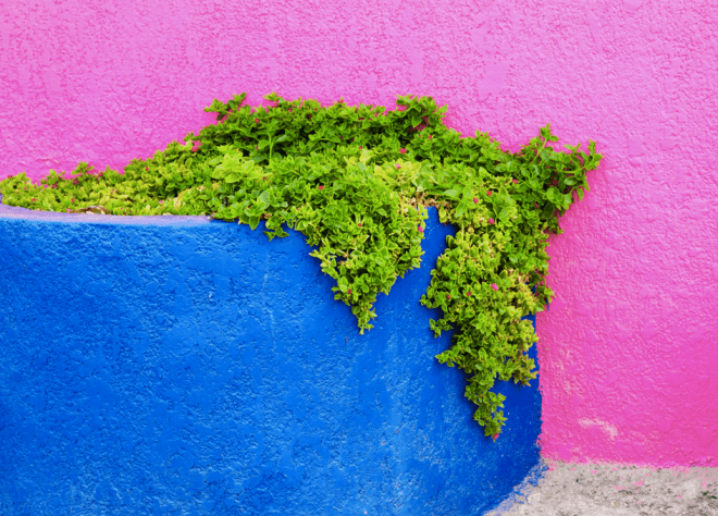 Screen Shot 2015-12-06 at 1.33.09 PM.png