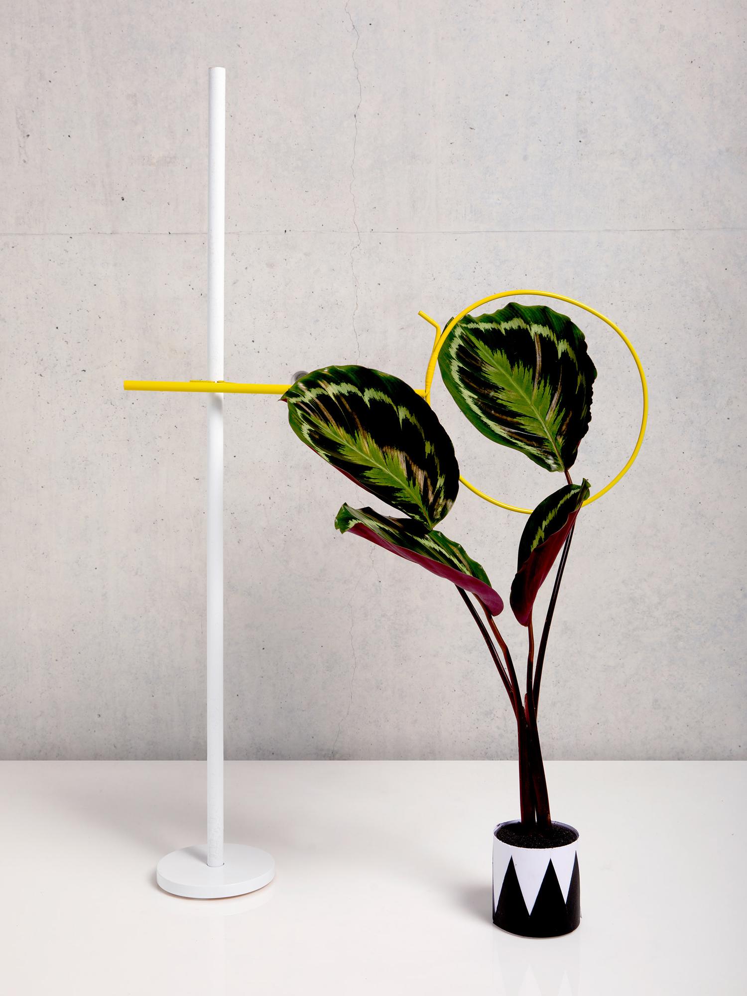 in-the-garden_website_01_1875x2500px