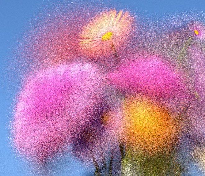 large_9467cb04788ed6b7d8c00801fe079bf1